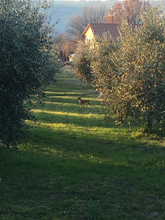 Appartamento Dell Agriturismo Pane E Olio Todi Exterior photo