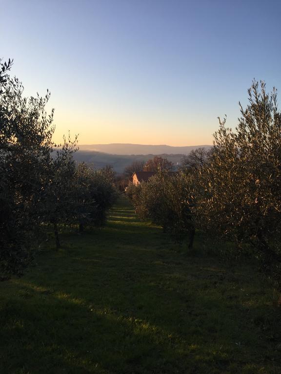 Appartamento Dell Agriturismo Pane E Olio Todi Exterior photo